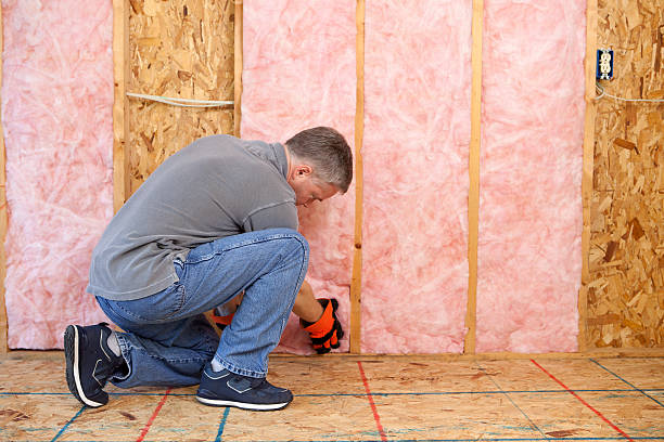 Best Attic Insulation Installation  in Spring Valley, IL